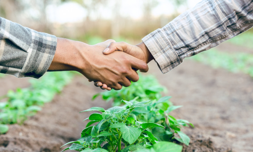 Crédito Rural. Foto Divulgação